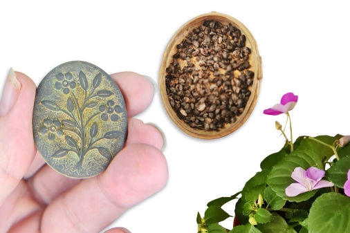 The Lucky Locket Alison Longmoor